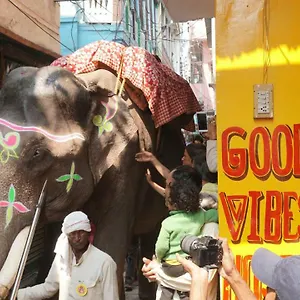 Hostel Good Vibes India